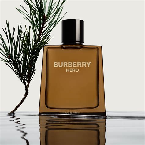 parfun burberry|burberry parfum for men.